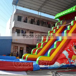 Giant Inflatable Water Slide for Kids and Adult, Used Inflatable Water Slide Pool for Sale thumbnail-2