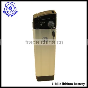 E-bike Lithium Battery 48V 13Ah Bigger Power Silver Fish Type Battery thumbnail-1