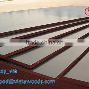 Plywood Film Coated With Brand Name in Vietnam thumbnail-6