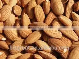 Roasted Salted Apricot Kernels Without Shell for Hot Sale thumbnail-4