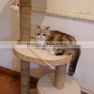 2016 China Jute Rope for Exporting,2016 Natural Braided Jute Twine for Decoration of Pets Shelves thumbnail-3