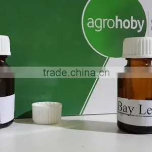 Laurel Bay Leaf Essential Oils , Laurel Oil thumbnail-4
