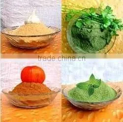 Spray Dried Fruits & Vegetable Powders thumbnail-2