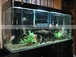 12mm-29mm Aquarium Glass Hot Sale thumbnail-1