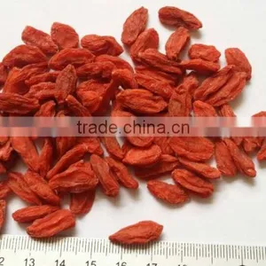 Dried Goji Berries 350grains/100g thumbnail-1