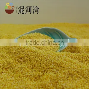 Organic Yellow Millet Bulk and Vacuum Packing Export Grade 2016 Crop thumbnail-5