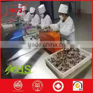 High Quality Chinese Jujube Fruit Shanxi Special Grade Dried Red Dates With Walnut Meat thumbnail-5
