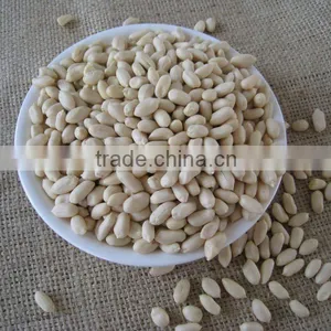 Chinese Shandong New Crop Raw Peanut Kernels thumbnail-1