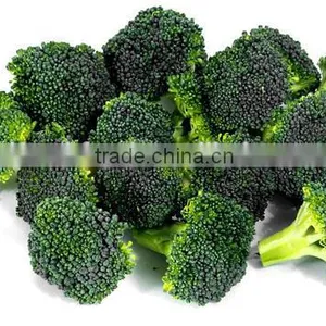 IQF Broccoli thumbnail-2
