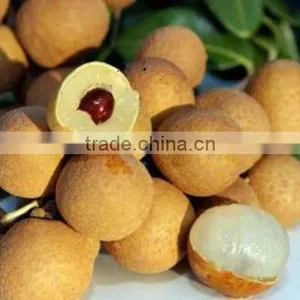 Vietnam Dried Longan thumbnail-5