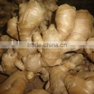 Fresh Air Dried Ginger thumbnail-5