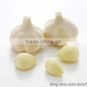 FX-128-2 Hot Sale Large Capacity Garlic Peeling Peeler Machine thumbnail-6
