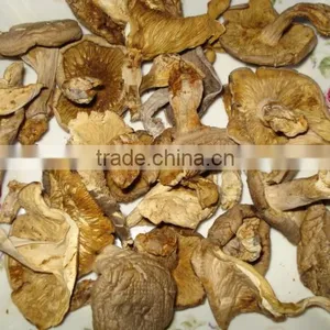 Detan Mushroom Dried Oyster Mushrooms thumbnail-2