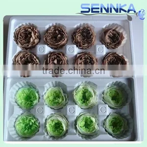 Wedding Favors Preserved Austin Rose Flower Wholesale Approximately 4.5cm Diameter thumbnail-1