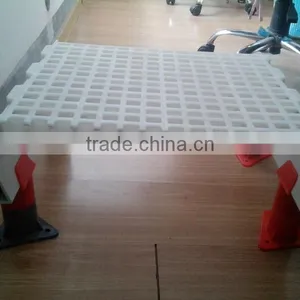 2014 New Plastic Floor for Chicken thumbnail-1