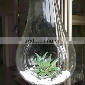 Micro Landscape Ecological Pear Shape Meaty Hanging Plant Glass Vase thumbnail-2