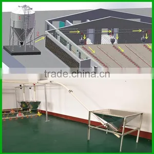 Huabang Poultry Chicken Equipment,automatic Chicken | Broiler Feeder thumbnail-4