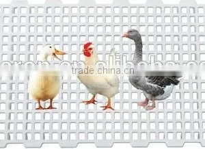 High Quality Slat Floor for Poultry Farm thumbnail-5