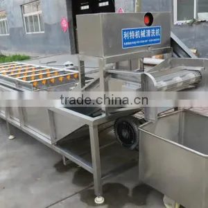 Hot Sale Vegetable Bubble Washing Machine/bean Sprout Washer Machine/bean Washing Machine thumbnail-4