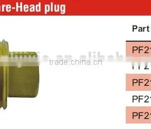 PF211 Square-Head Plug,Pipe Fitting,Brass Fittings, Pneumatic Valve thumbnail-5