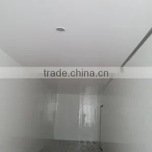 International Truck Body Parts/fiberglass Truck Body/refrigerated/freezer Van Body for Fish thumbnail-5