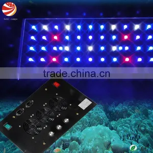 Moonlight&daylight Led Aquarium Light Has Perfect Sunrise&sunset Effect thumbnail-1