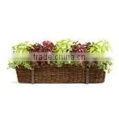 Iron Flower Window Box (LMW_12P110) thumbnail-1
