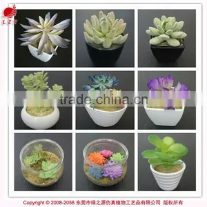 Nice Cheap Artificial Mini Succulent Plants Artificial Plants High Quality Fake Succulent Plants thumbnail-4