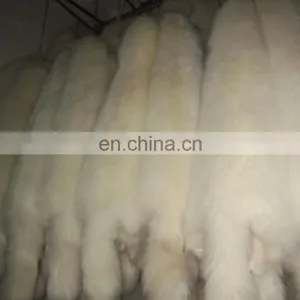 Cheap Raccoon, Raccoon Fur for Women's Clothing thumbnail-3