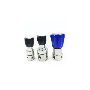 Stainless Steel Adjustable Gas Pressure Regulator thumbnail-1
