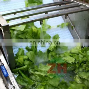 Automatic Green Olive Vegetable Washing Machine thumbnail-6