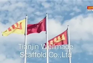 Tianjin Wellmade Scaffold Co., Ltd. company overview - view 1 thumbnail
