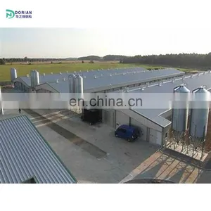 Farm Construction Chicken House for 3000 Chicken thumbnail-4