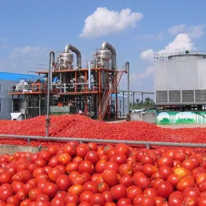 Factory Genyond Small Tomato Paste Ketchup Chill Pepper Sauce Fruit Jam Making Machine Production Line Processing Plant thumbnail-5