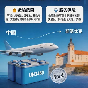 Air Freight DDP Service From China to Slovakia for Over‑100WH High‑Power Lithium‑ion Batteries, Nation‑Wide Door‑to‑Door Delivery Across Slovakia thumbnail-1