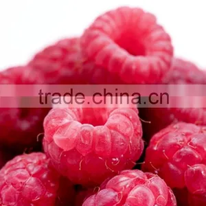Best Quality Powder Raspberry Ketone Halal thumbnail-2