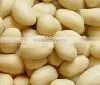 Blanched Peanuts (round Type) thumbnail-1