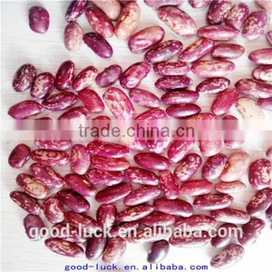 Chinese Purple Speckled Kidney Beans thumbnail-6