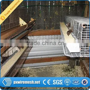 Hot-dipped Galvanized Quail Cage thumbnail-6