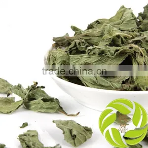 Hot Selling China Herb in Bulk Cold Resistance Herbal Tea Dried Mint Leaves Slimming Herbs thumbnail-1