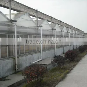 PC Sheet Greenhouse thumbnail-1