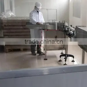 Sauce in Jar Unscrambler and Filler Machine thumbnail-2