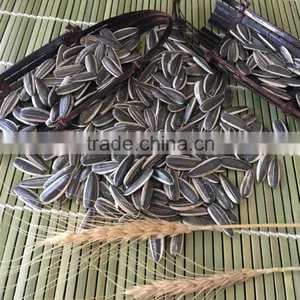 Cheap 2015 Sunflower Seed 601, 260-270/100g for Sale thumbnail-3