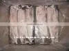 Frozen Whole Cleaned Squid thumbnail-1