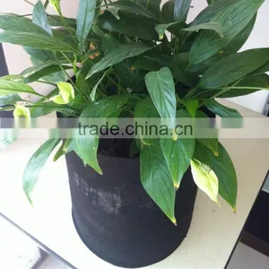Non-woven Planting Bag, Flowers Planting Bag thumbnail-1