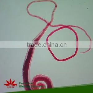 Hot Sale 40pcs High Quality Medical Parasitology Prepared Slides Set thumbnail-1