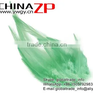 Top Supplier ZPDECOR Wholesale Good Quality Cheap Dyed Aqua Chicken Rooster Saddle Feathers for Show thumbnail-2