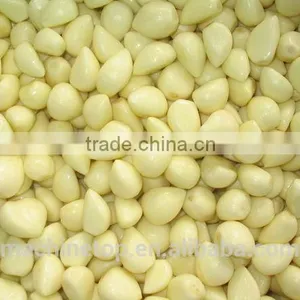 Manufacturer Of Garlic Peeler Machine thumbnail-3