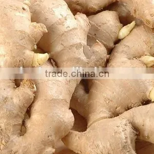 China Dry Ginger Export to Many Countries thumbnail-2