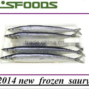 2014 New Coming Frozen Pacific Saury From China thumbnail-1